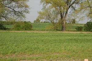 Wiesenumbruch